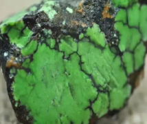  ȫ����ֻ���й������������ڻ������г������ѻ�