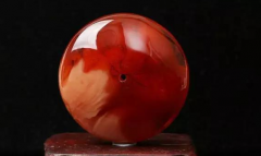 �ؿ���C14���о����