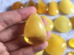 ���������С����¡���֪����Ӵ˲��١����¡���