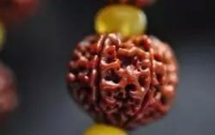 �����ʱ��ľ���ִ�Ҫ��α�����