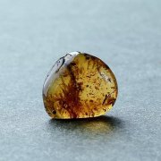 Ħ��֮�����Ų���ζ����