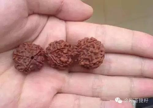 ʵ飺ȾɫôȾ