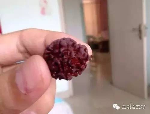 ʵ飺ȾɫôȾ