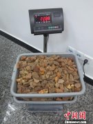  ����������5��12�յ� (�ƹ� �ܳ�Ȩ)һ������˹��Ů����ǰ��������Я��Լ22.88��������ԭʯ�ڹ����뾳