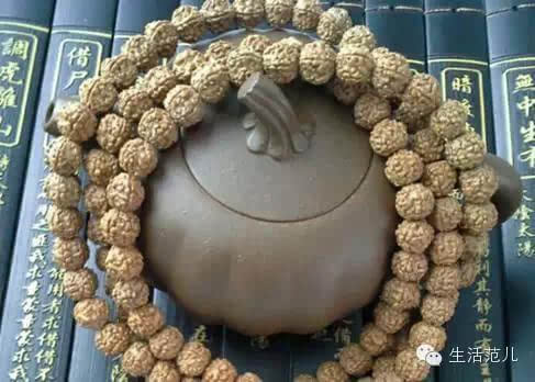 �����֮�ղ�ƪ������Ȧ��Щ���ܻ�ӭ��ʮ����� ������