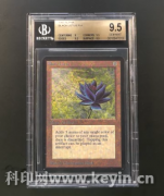  ����Ķ� ��Ʒ ���±�Versafire CV �ٰ�CS 92����