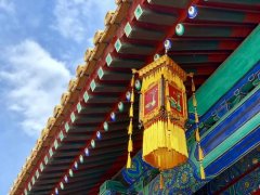 �ʹ�������� �����ƿ����������ɽ����������