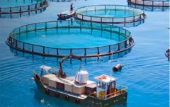 ��Щ�����м�ֵ������ϣ����Ŀ��