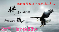��ɬ����ʦ-д��Ͷ�����ѵ���̬���£�����ر�ƪ