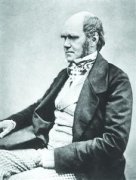 ����˼�Ͷ���˹��ʱ�Ⱦ����׶�