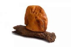  ��չ֮�����޴�ġ�Լ1�����ص�����ԭʯ