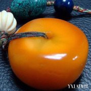 ������ϻ���֬��������Ƚ����