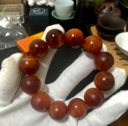 ���������������ִ������ÿ�����͸��