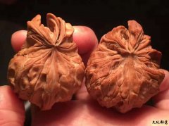 �������������������ͼƬ