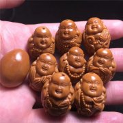 2019魵֮魵ע
